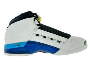 Blue hot sale jordan 17